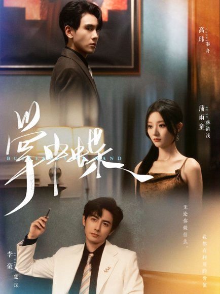 掌中蝶（84集）李豪&蒲雨童 高清完整版