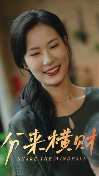 分来横财（29集） 高清完整版